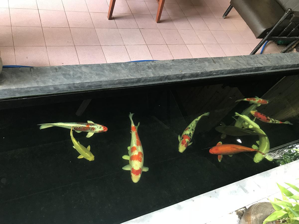 נונג קאי Rest Time Hotel מראה חיצוני תמונה